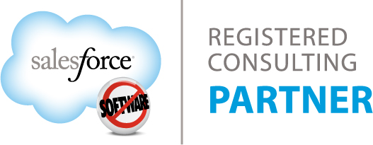 Registered Partner - Salesforce Consulting Services